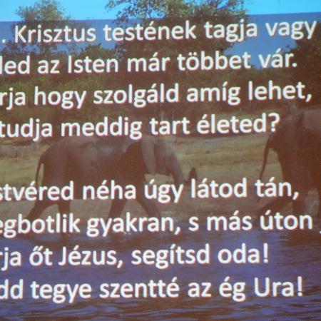 Nagyobb kép megtekintése
