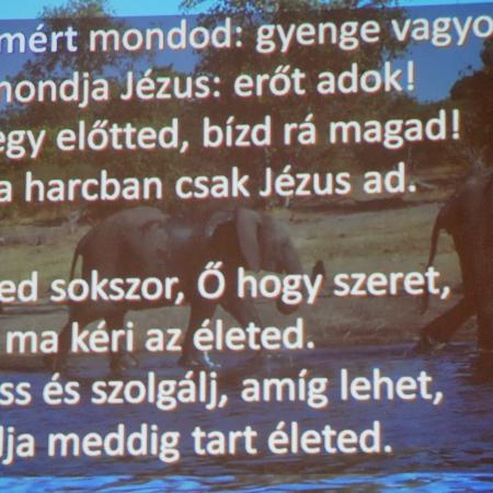 Nagyobb kép megtekintése